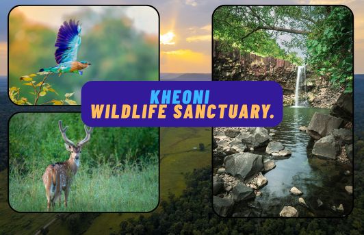 Kheoni Wildlife Sanctuary near Indore and Bhopal